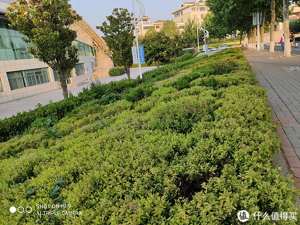 小米9已经拍好的照片去水印缩略图