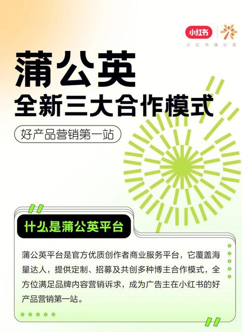 手机版蒲公英怎么连接