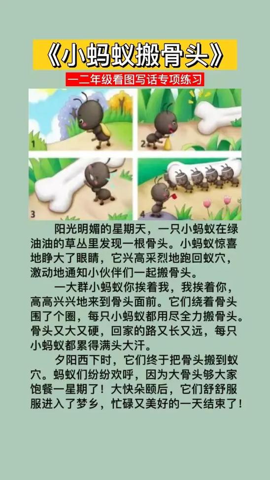 小蚂蚁图标