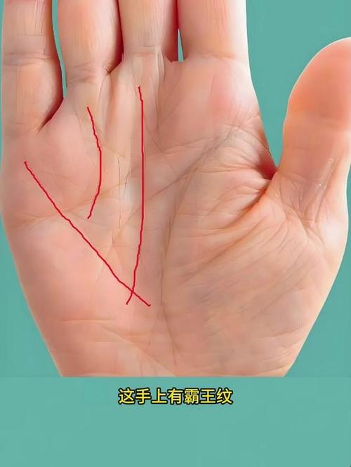 什么样的手相最有福气
