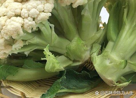 菜花是花还是果