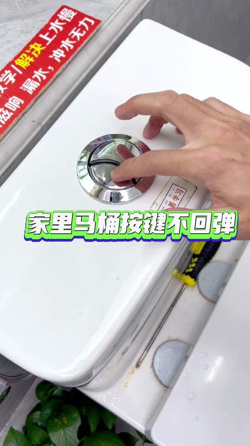 马桶按钮按下去不冲水怎么办游戏截图