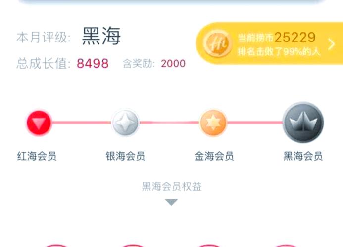 海底捞等级划分消费