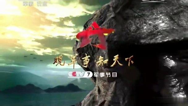 CCTV7广告2015