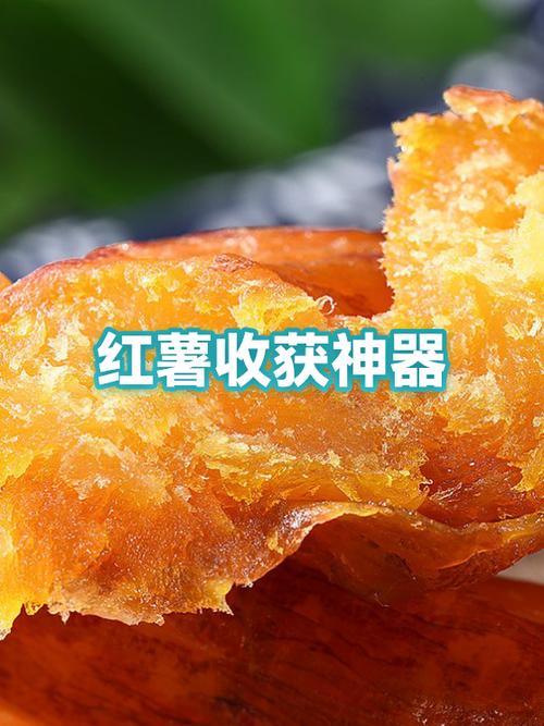 红薯文案神器免费版