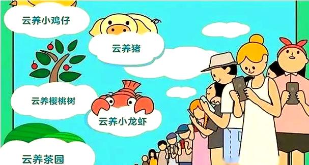 什么叫云养