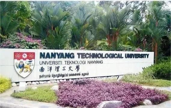 南洋理工大学研究生回国认可度图标