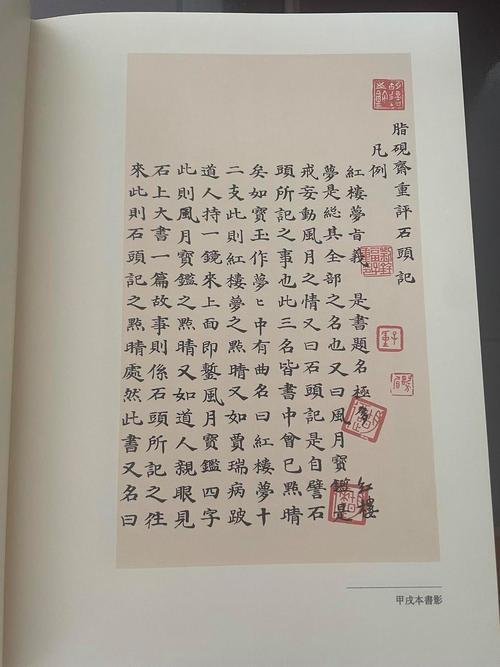 斋书苑中文网