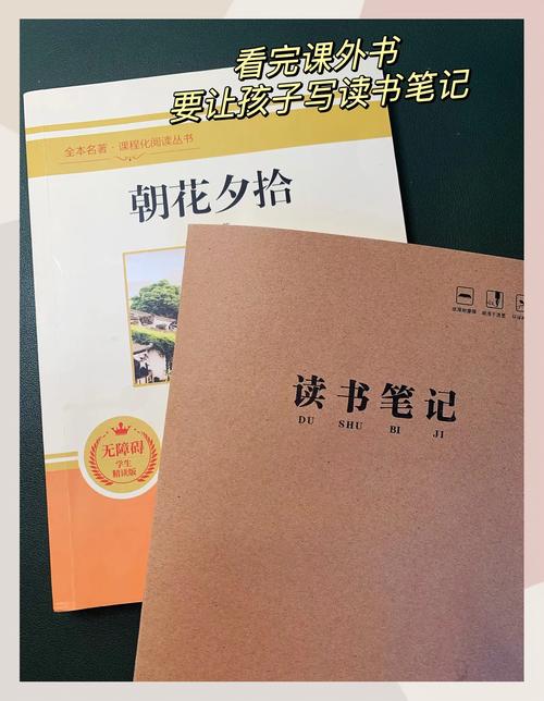 点点折花小说阅读