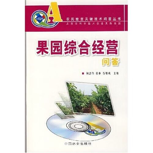 主角在海南经营果园的小说