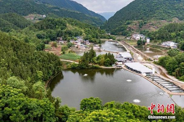 养鱼的地方叫什么