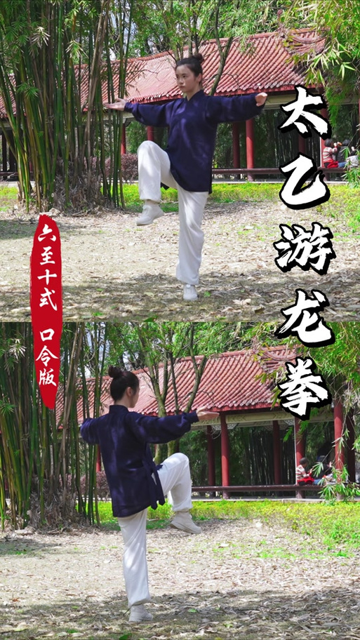 太乙游龙拳全套口令图标