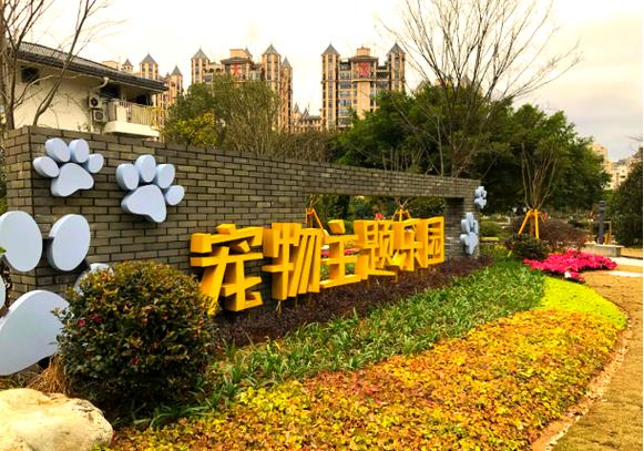 养成宠物游戏大全缩略图
