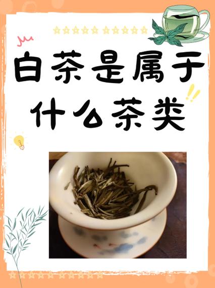 盛世华品是属于什么茶