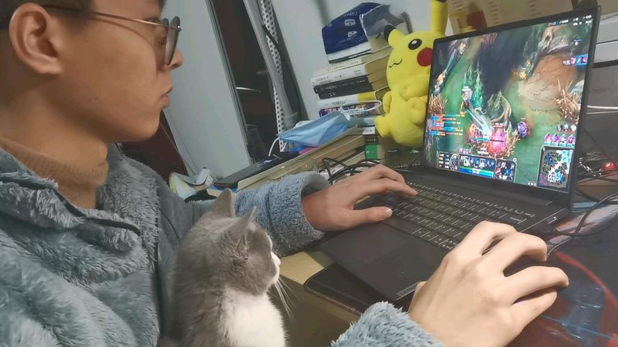 我爸爸在打游戏