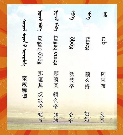 蒙古国会说中文吗