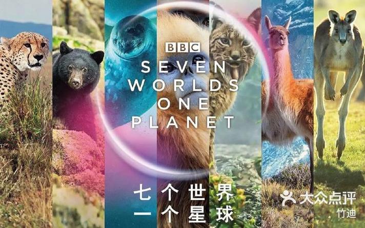七个世界一个星球观后感
