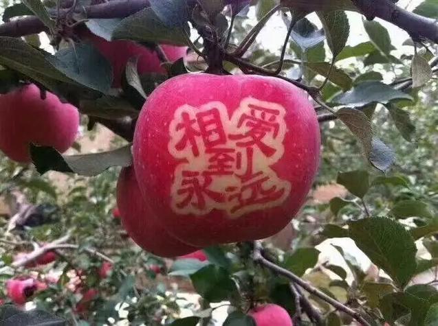 苹果怎么打出红色的字截图