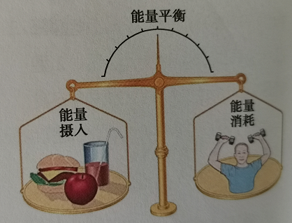 能量平衡的获得