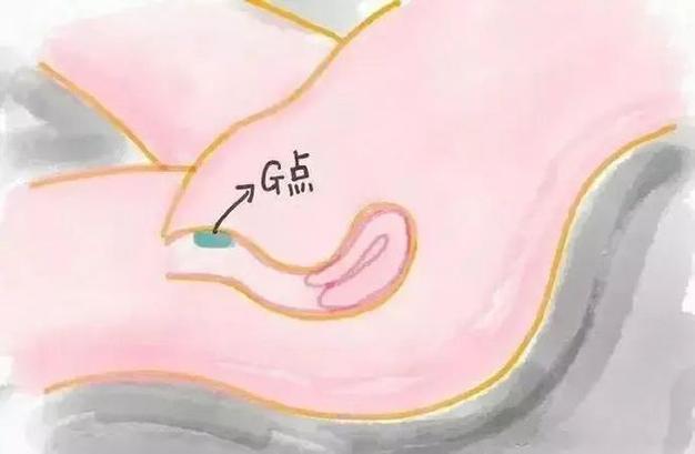 小豆豆手法教程