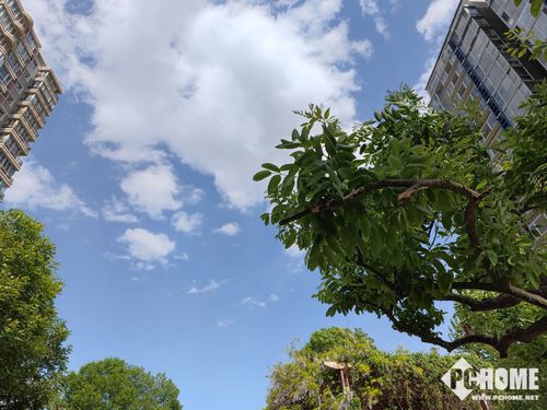 小米11 ultra的拍照效果