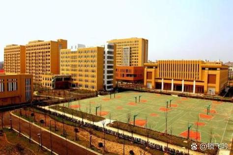 学校t0级别截图