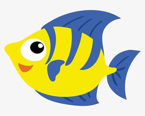 fish既可数又不可数