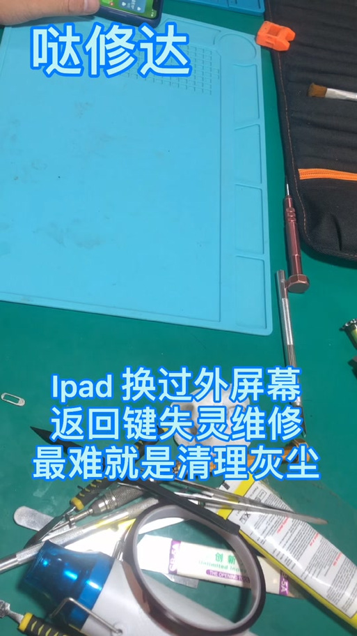 为什么ipad指纹录不进去