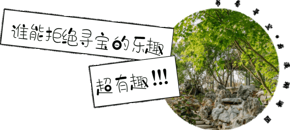怎么手机铃声里面找不到音乐了