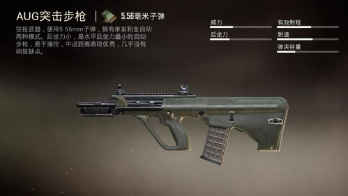 和平精英最新步枪