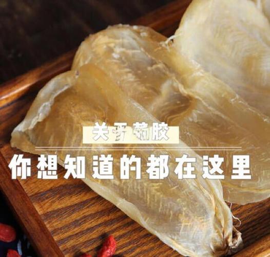 鱼胶正确的保存方法