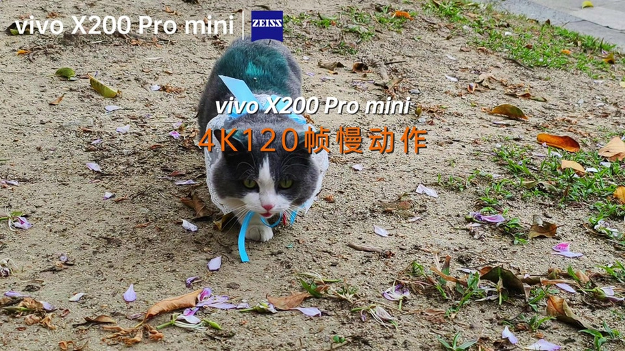 vivo慢动作