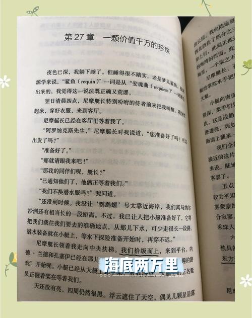 椰子爸爸情缘小说哪里看图标