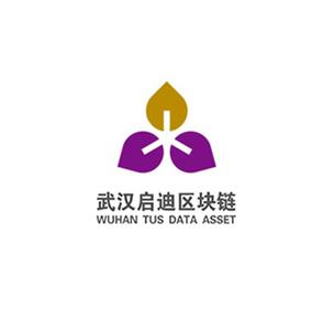 启迪区块链是国有控股公司