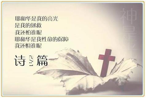 sacred中文翻译缩略图
