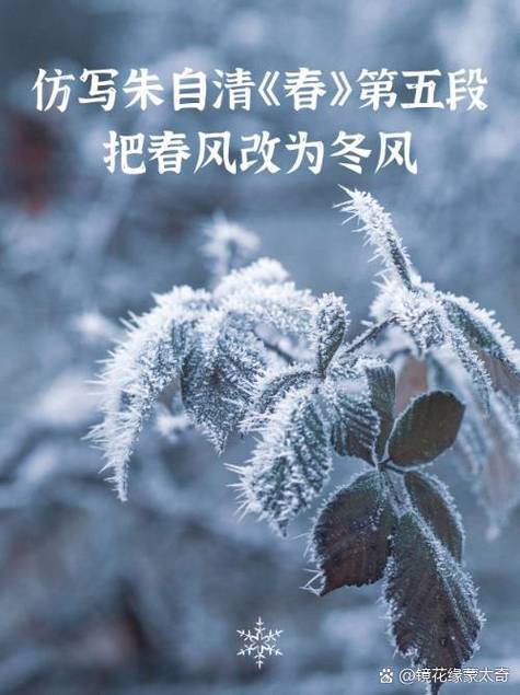 写出了春风怎样的特点