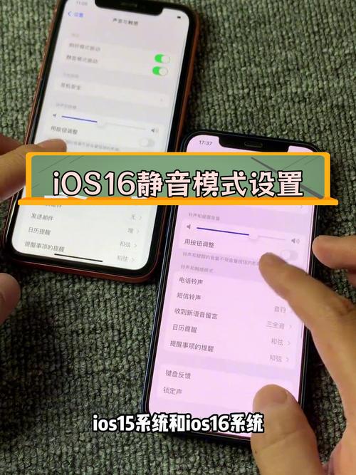 ios16设置取消键盘打字震动的步骤