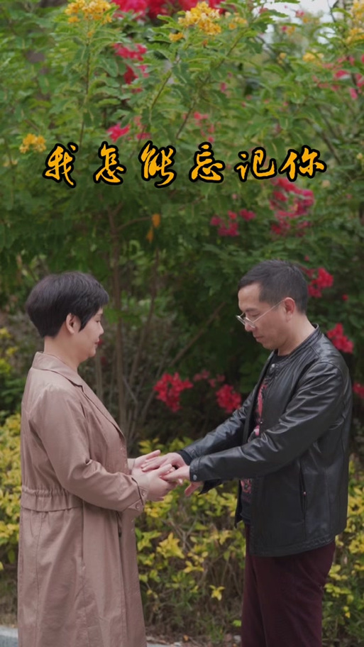 怎能忘记你曾经给我美丽是什么歌游戏截图