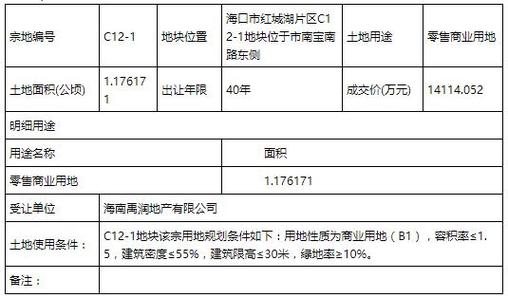 海口土地出让最新消息