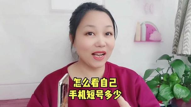 知道别人移动小号怎样查大号