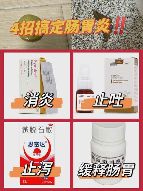 猫咪肠胃炎吃啥药图标