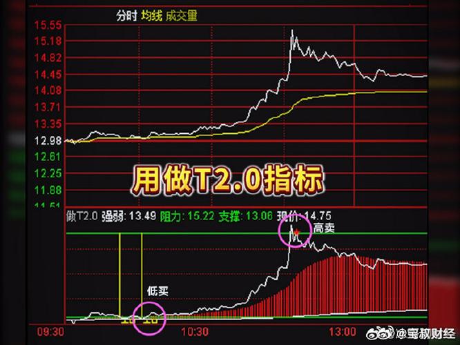 做t神器指标免费版