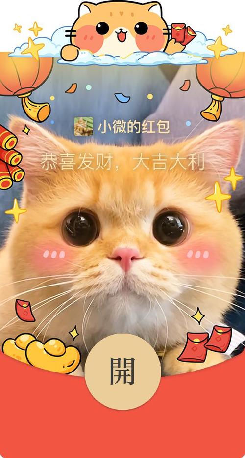 猫咪成长记红包