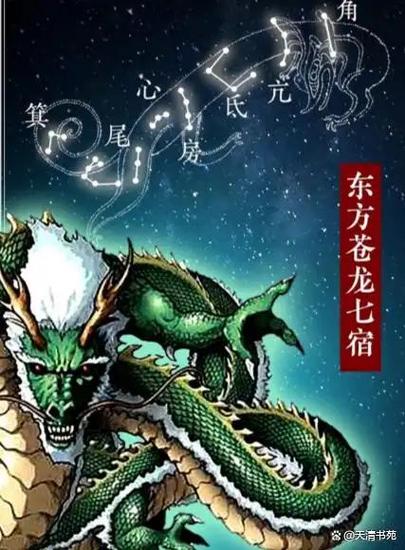 天上龙族转人的特征