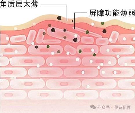 修复皮肤屏障图标