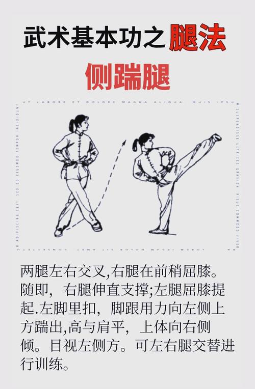 伽罗太华腿法教学视频