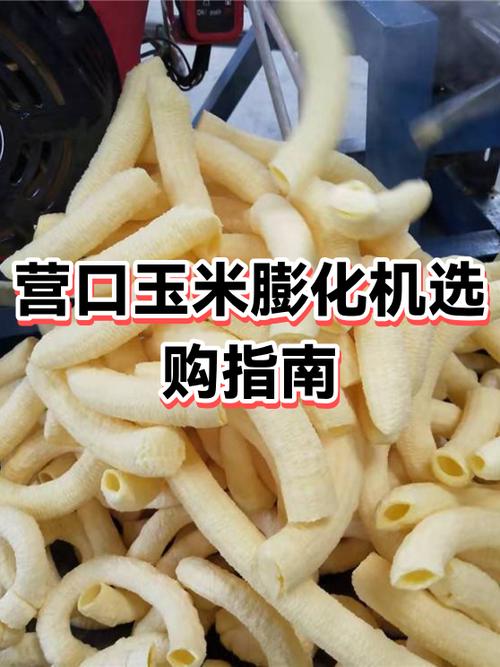 买膨化机十大忠告