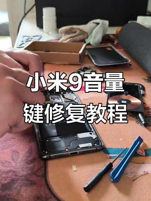 手机进水了音量键乱跳
