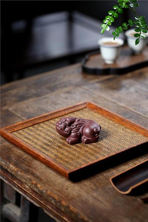 茶宠怎么养