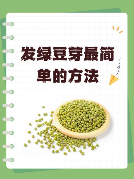 自己在家发绿豆芽怎么发